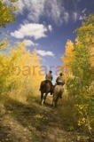 Two wranglers amid autumn aspens in Wyoming. MR