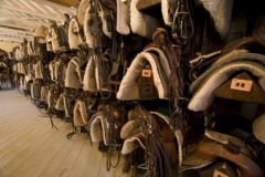 Saddles in the tack room.