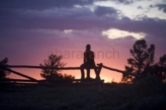 Silhouette on a fencerail. MR