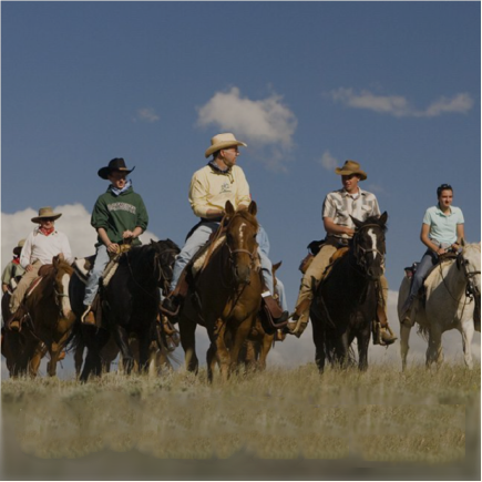 Horseback Riding